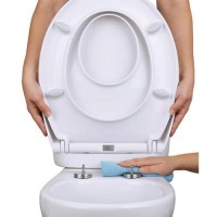 tapa wc familiar bimba softclose | sanidek