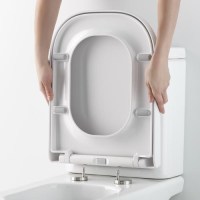 tapa wc issa | sanidek